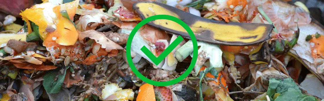 An overhead view of a variety of compostable food scraps including fruits, vegetables, eggshells, and coffee grounds.